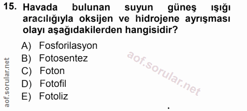 Soru 15