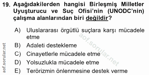 Soru 19