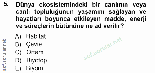 Soru 5