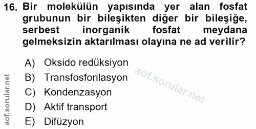 Soru 16