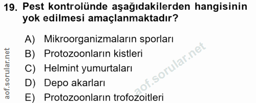Soru 19