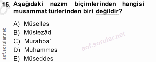 Soru 15