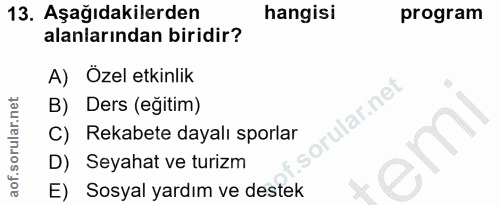 Soru 13