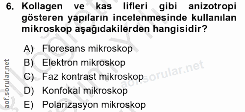 Soru 6