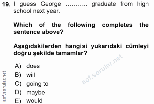 Soru 19