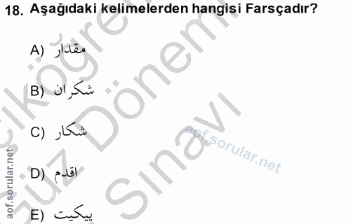 Soru 18