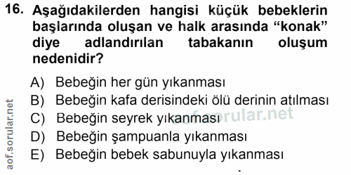 Soru 16