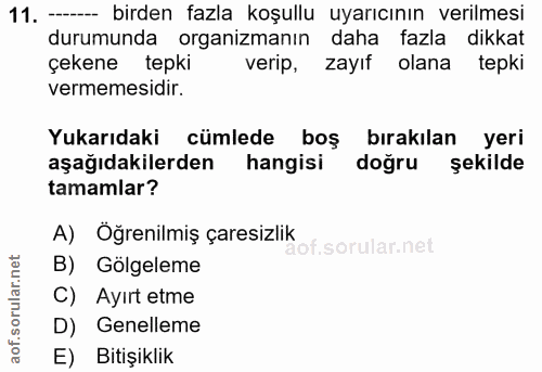 Soru 11