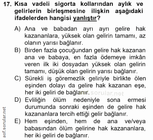 Soru 17