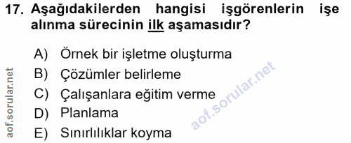 Soru 17