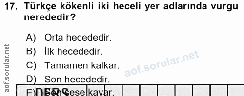 Soru 17