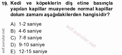 Soru 19