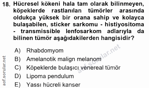 Soru 18