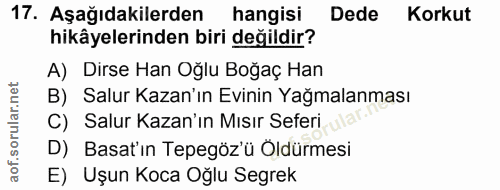 Soru 17