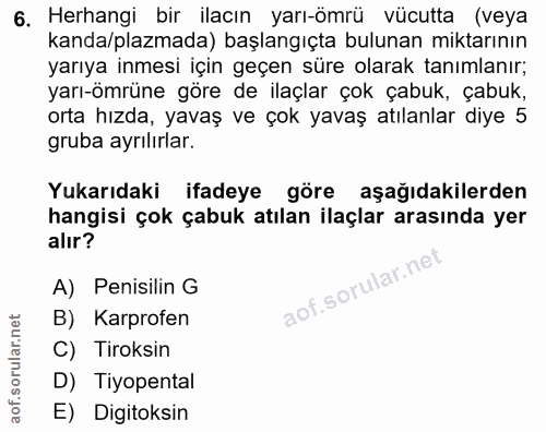 Soru 6