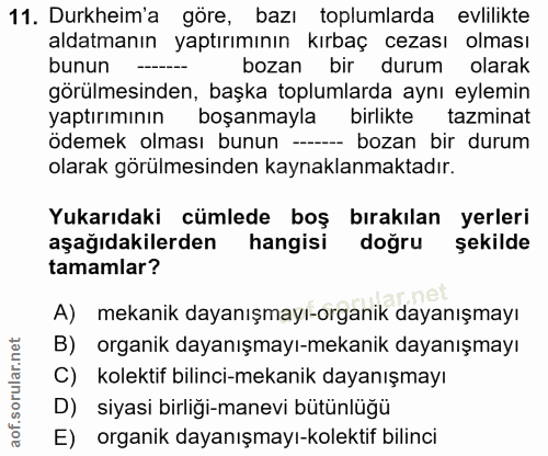 Soru 11