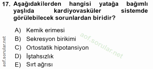Soru 17