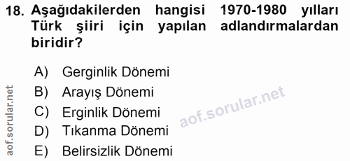 Soru 18