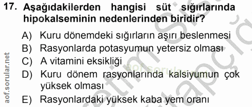 Soru 17
