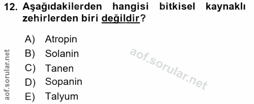 Soru 12