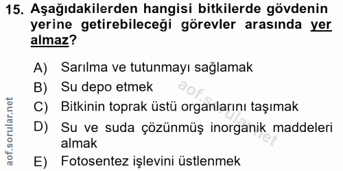 Soru 15