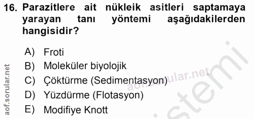 Soru 16