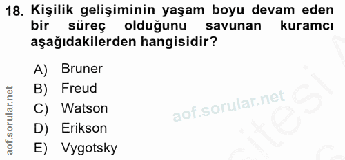 Soru 18