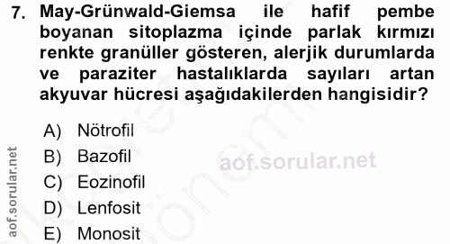 Soru 7
