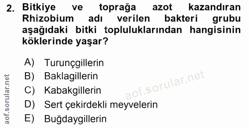 Soru 2
