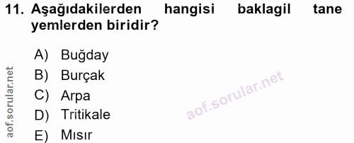 Soru 11