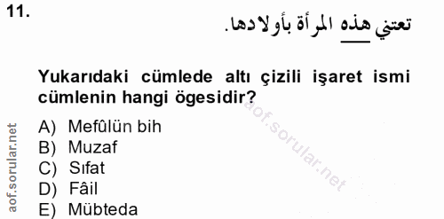 Soru 11