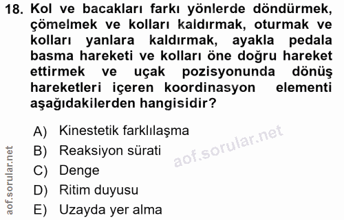 Soru 18