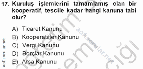 Soru 17
