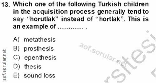 Soru 13