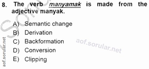 Soru 8