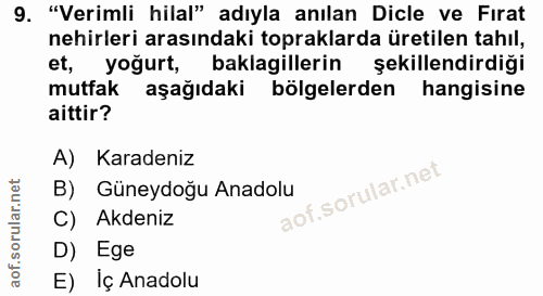 Soru 9
