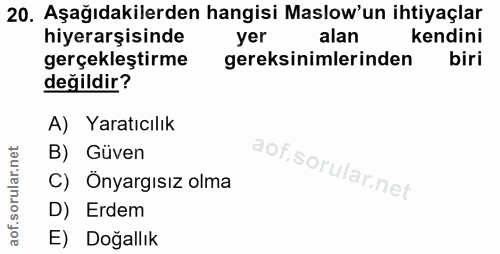 Soru 20