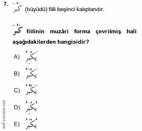 Soru 7