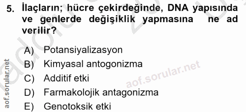 Soru 5