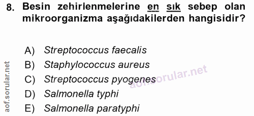 Soru 8
