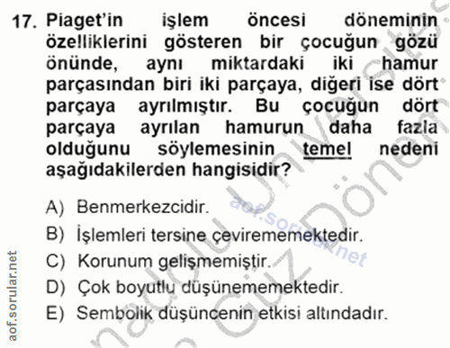 Soru 17