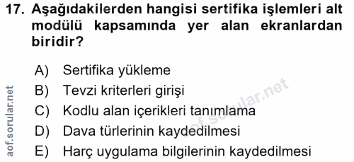 Soru 17