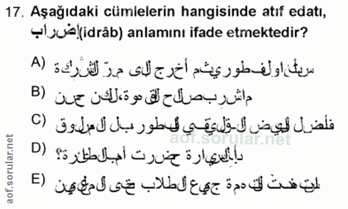 Soru 17