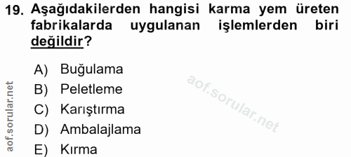 Soru 19