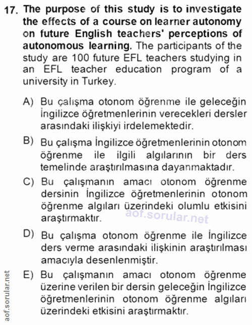 Soru 17