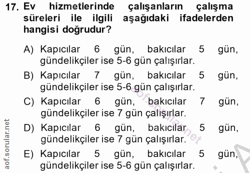 Soru 17