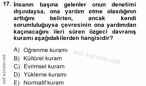 Soru 17