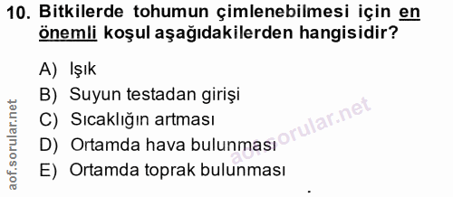 Soru 10