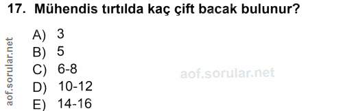 Soru 17