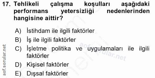 Soru 17